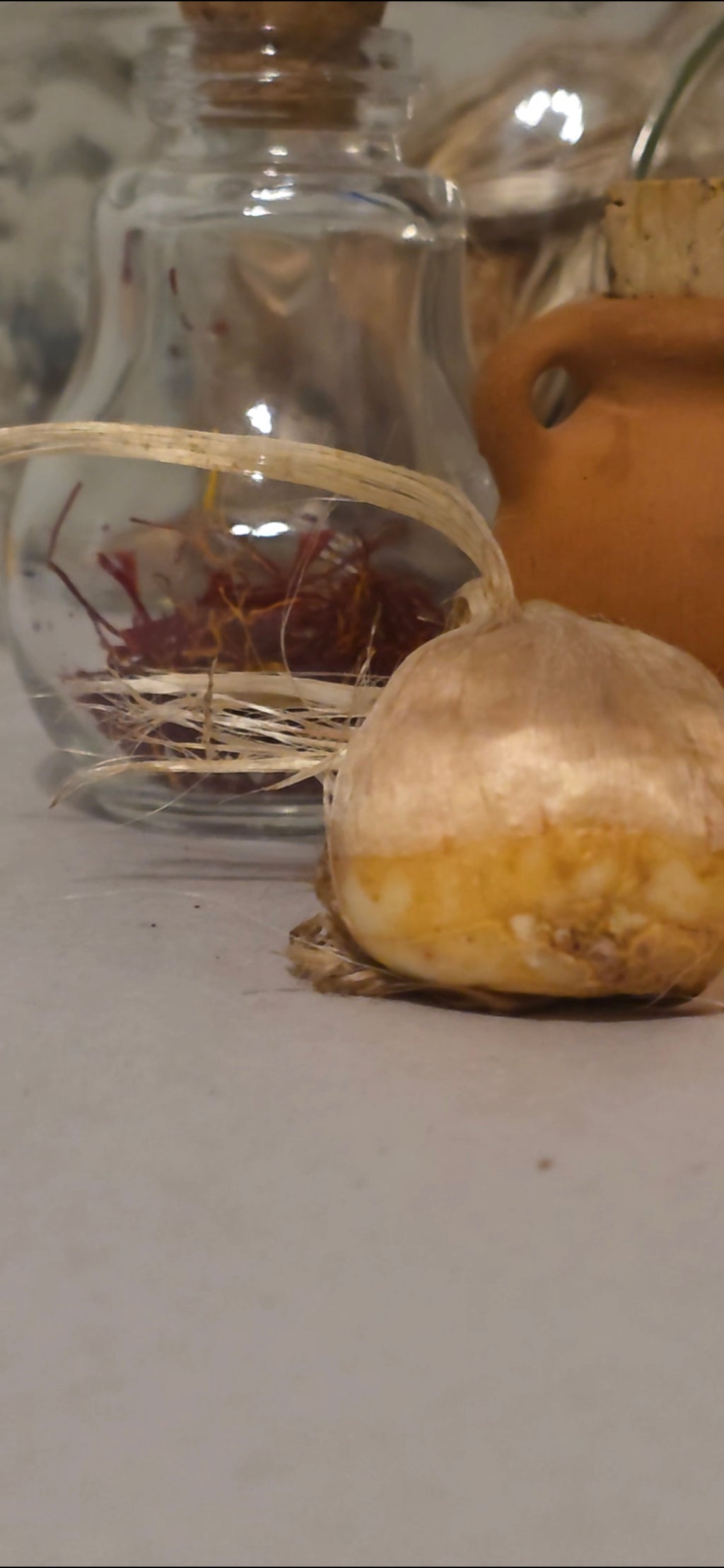 Premium Single Saffron Bulbs - 10cm