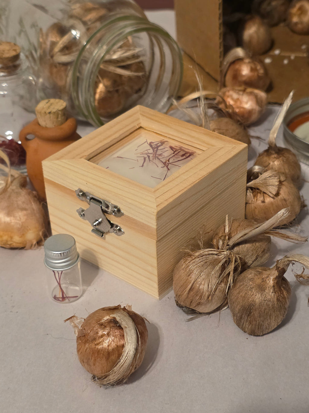 Saffron Legacy Starter Kit - Grow At Home