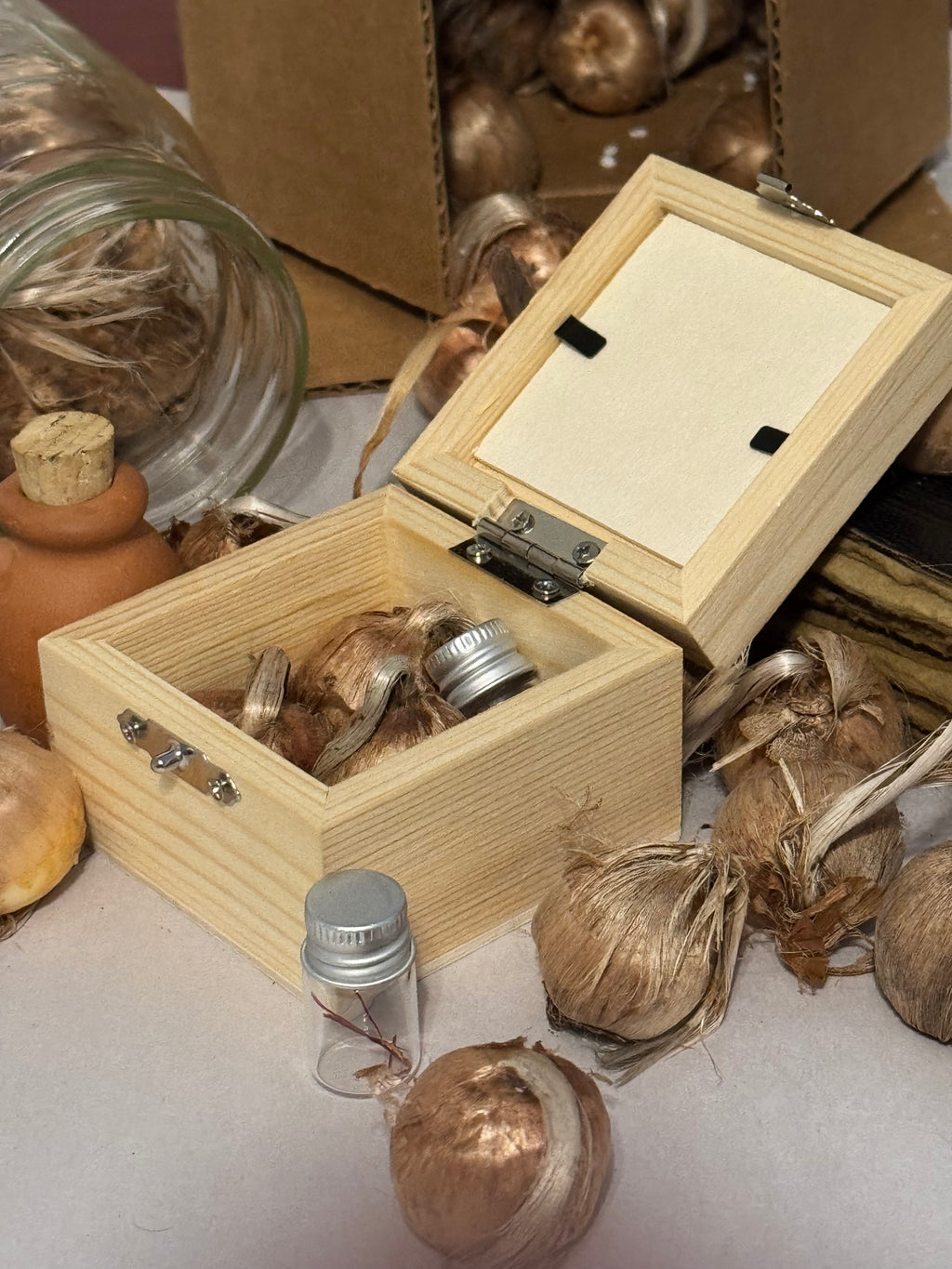 Saffron Legacy Starter Kit - Grow At Home
